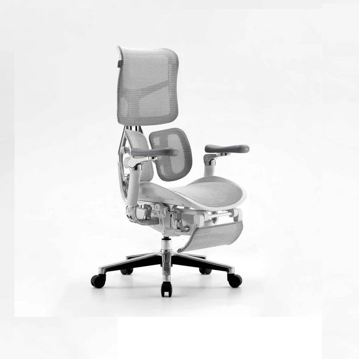 SIHOO Doro S300 Ergonomics Executive Office Chair With Footrest Grey ...